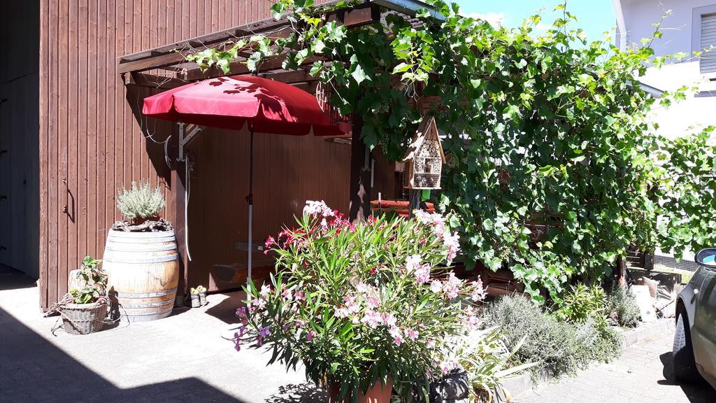 Winzerhof Senn Apartamento Vogtsburg Exterior foto