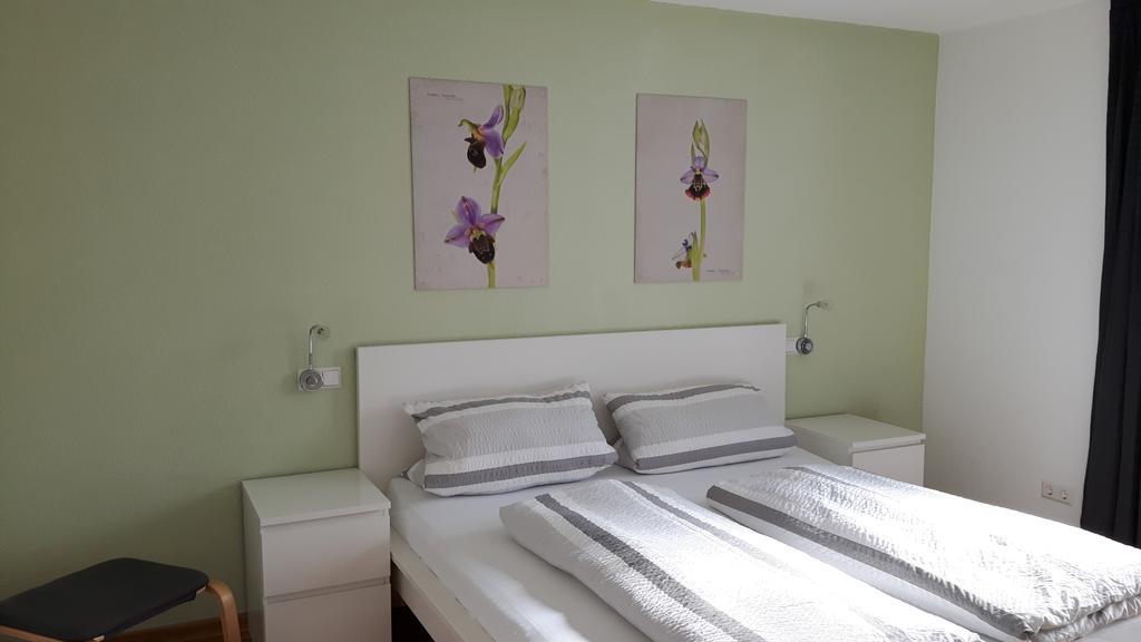 Winzerhof Senn Apartamento Vogtsburg Exterior foto